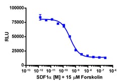 Eurofins Discoverx cAMP Hunter eXpress CXCR4 CHO-K1 GPCR Assay, 2-Plate