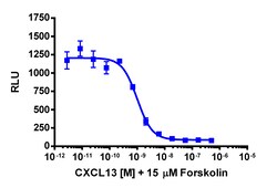 Eurofins Discoverx cAMP Hunter CHO-K1 CXCR5 Gi Cell Line, 2 vials. (95-0082C2),