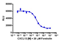 Eurofins Discoverx&nbsp;cAMP Hunter eXpress CXCR5 (BLR1) CHO-K1 GPCR Assay, 10-Plate Kit. (95-0082E2CP2L)