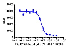 Eurofins Discoverx cAMP Hunter eXpress LTB4R CHO-K1 GPCR Assay, 10-Plate