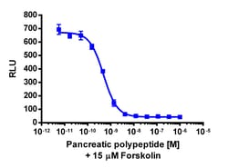Eurofins Discoverx cAMP Hunter CHO-K1 PPYR1 (NPY4R) Gi Cell Line, 2 vials.
