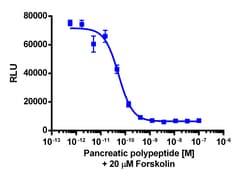 Eurofins Discoverx cAMP Hunter eXpress PPYR1 (NPY4R) CHO-K1 GPCR Assay,