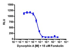 Eurofins Discoverx cAMP Hunter CHO-K1 OPRK1 Gi Cell Line, 2 vials. (95-0088C2)
