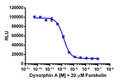 Eurofins Discoverx&nbsp;cAMP Hunter eXpress OPRK1 CHO-K1 GPCR Assay, 10-Plate Kit. (95-0088E2CP2L)
