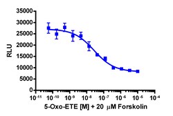 Eurofins Discoverx cAMP Hunter eXpress OXER1 CHO-K1 GPCR Assay, 10-Plate