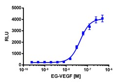 Eurofins Discoverx&nbsp;cAMP Hunter eXpress PROKR1 CHO-K1 GPCR Assay, 2-Plate Kit. (95-0090E2CP2M)