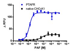 Eurofins Discoverx CHO-K1 PTAFR Gq Cell Line, 2 vials. (95-0091C2), Quantity: