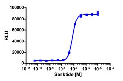 Eurofins Discoverx cAMP Hunter eXpress TACR3 CHO-K1 GPCR Assay, 10-Plate