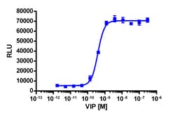 Eurofins Discoverx&nbsp;cAMP Hunter eXpress VIPR1 CHO-K1 GPCR Assay, 10-Plate Kit. (95-0093E2CP2L)