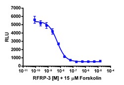 Eurofins Discoverx&nbsp;cAMP Hunter eXpress NPFFR1 CHO-K1 GPCR Assay, 2-Plate Kit. (95-0097E2CP2M)