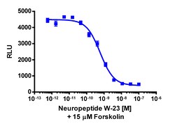 Eurofins Discoverx&nbsp;cAMP Hunter CHO-K1 NPBWR1 Gi Cell Line, 2 vials. (95-0099C2)