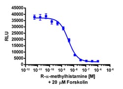 Eurofins Discoverx cAMP Hunter eXpress HRH3 CHO-K1 GPCR Assay, 10-Plate