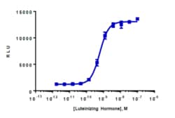 Eurofins Discoverx&nbsp;cAMP Hunter LHCGR Bioassay Kit, 2-Plate. (95-0106Y2-00137)
