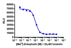 Eurofins Discoverx cAMP Hunter eXpress OPRM1 CHO-K1 GPCR Assay, 10-Plate