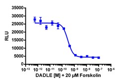 Eurofins Discoverx cAMP Hunter eXpress OPRD1 CHO-K1 GPCR Assay, 10-Plate