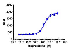 Eurofins Discoverx&nbsp;cAMP Hunter eXpress ADRB2 (B2AR) CHO-K1 GPCR Assay, 2-Plate Kit. (95-0121E2CP2M)
