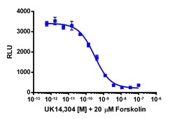 Eurofins Discoverx&nbsp;cAMP Hunter eXpress ADRA2A CHO-K1 GPCR Assay, 10-Plate Kit. (95-0126E2CP2L)