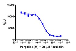 Eurofins Discoverx&nbsp;cAMP Hunter CHO-K1 rDRD2S (Short Isoform) Gi Cell Line, 2 vials. (95-0129C2)