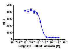 Eurofins Discoverx cAMP Hunter eXpress rDRD2L (Long Isoform) CHO-K1 GPCR