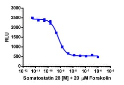 Eurofins Discoverx cAMP Hunter eXpress SSTR3 CHO-K1 GPCR Assay, 10-Plate