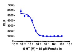 Eurofins Discoverx&nbsp;cAMP Hunter CHO-K1 HTR1A Gi Cell Line, 2 vials. (95-0132C2)