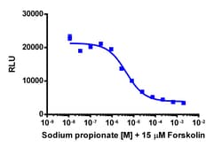 Eurofins Discoverx&nbsp;cAMP Hunter CHO-K1 FFAR3 (GPR41) Gi Cell Line, 2 vials. (95-0136C2)