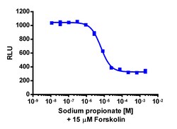Eurofins Discoverx&nbsp;cAMP Hunter eXpress FFAR3 CHO-K1 GPCR Assay, 10-Plate Kit. (95-0136E2CP2L)