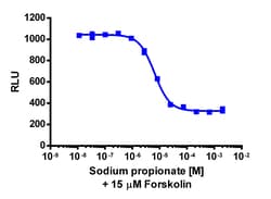 Eurofins Discoverx cAMP Hunter eXpress FFAR3 CHO-K1 GPCR Assay, 2-Plate