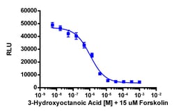 Eurofins Discoverx&nbsp;cAMP Hunter eXpress GPR109B CHO-K1 GPCR Assay, 10-Plate Kit. (95-0141E2CP2L)
