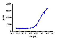Eurofins Discoverx&nbsp;cAMP Hunter CHO-K1 GIPR Gs Cell Line, 2 vials. (95-0146C2)