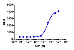 Eurofins Discoverx&nbsp;cAMP Hunter eXpress GIPR CHO-K1 GPCR Assay, 10-Plate Kit. (95-0146E2CP2L)