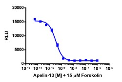 Eurofins Discoverx cAMP Hunter CHO-K1 AGTRL1 Gi Cell Line, 2 vials. (95-0147C2),