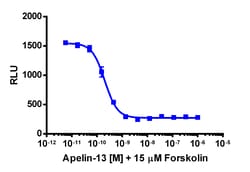 Eurofins Discoverx cAMP Hunter eXpress AGTRL1 CHO-K1 GPCR Assay, 2-Plate