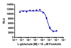 Eurofins Discoverx&nbsp;cAMP Hunter CHO-K1 GRM2 Gi Cell Line, 2 vials. (95-0148C2)