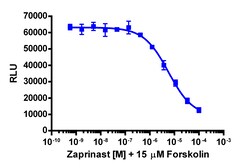 Eurofins Discoverx cAMP Hunter eXpress GPR35 CHO-K1 GPCR Assay, 10-Plate