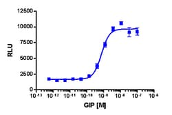 Eurofins Discoverx&nbsp;cAMP Hunter CHO-K1 mGIPR Gs Cell Line, 2 vials. (95-0154C2)