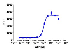 Eurofins Discoverx cAMP Hunter eXpress mGIPR CHO-K1 GPCR Assay, 2-Plate