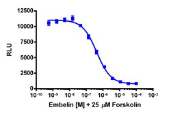 Eurofins Discoverx cAMP Hunter CHO-K1 GPR84 Gi Cell Line, 2 vials. (95-0158C2)
