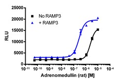 Eurofins Discoverx&nbsp;cAMP Hunter 1321N1 CALCR-RAMP3 Gs Cell Line, 2 vials. (95-0166C6)
