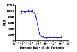 Eurofins Discoverx cAMP Hunter CHO-K1 FPR3 Gi Cell Line, 2 vials. (95-0171C2)