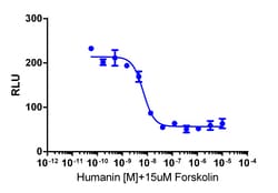 Eurofins Discoverx cAMP Hunter eXpress FPR3 CHO-K1 GPCR Assay, 10-Plate