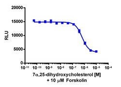 Eurofins Discoverx&nbsp;cAMP Hunter CHO-K1 EBI2 Gi Cell Line, 2 vials. (95-0172C2)
