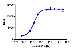 Eurofins Discoverx cAMP Hunter eXpress mGLP1R U2OS GPCR Assay, 10-Plate