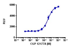 Eurofins Discoverx&nbsp;cAMP Hunter eXpress ADRB3 DLD1 GPCR Assay, 2-Plate Kit. (95-0182E13CP25M)