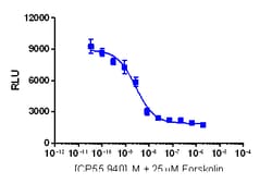 Eurofins Discoverx cAMP Hunter CHO-K1 CNR2 Gi Cell Line, 2 vials. (95-0183C2),