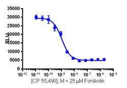 Eurofins Discoverx&nbsp;cAMP Hunter eXpress CNR2 CHO-K1 GPCR Assay, 10-Plate Kit. (95-0183E2CP2L)