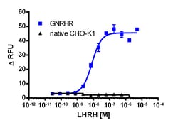 Eurofins Discoverx CHO-K1 GNRHR Gq Cell Line, 2 vials. (95-1004C2), Quantity: