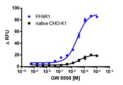 Eurofins Discoverx&nbsp;CHO-K1 FFAR1 (GPR40) Gq Cell Line, 2 vials. (95-1005C2)