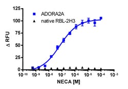 Eurofins Discoverx&nbsp;RBL-2H3 ADORA2A Gq Cell Line, 2 vials. (95-1008C11)