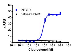 Eurofins Discoverx&nbsp;CHO-K1 PTGFR Gq Cell Line, 2 vials. (95-1009C2)